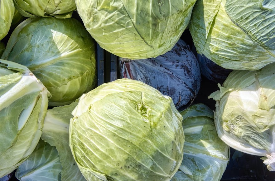 Cabbages